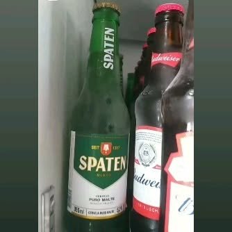 Cervejas geladas na prateleira da conveniência